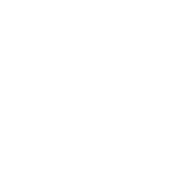 Black Panther Hero Logo