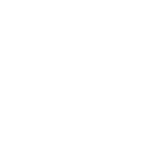 Mister Fantastic Hero Logo