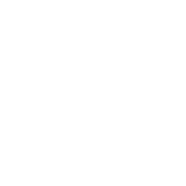Storm Hero Logo