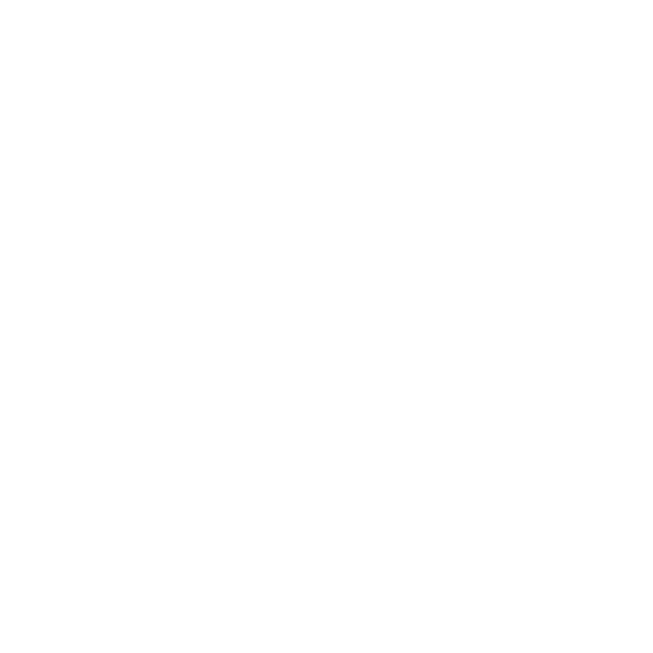 The Punisher Hero Logo