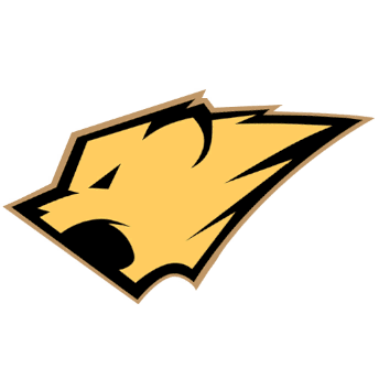 icon_league_team_36