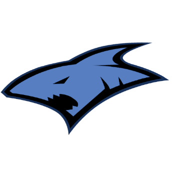 icon_league_team_38
