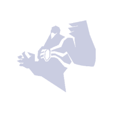 Just Spark