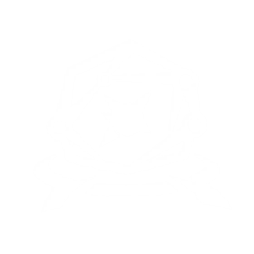 icon_collaborativeskills_100057skill