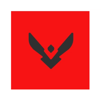 icon_league_team_vsn