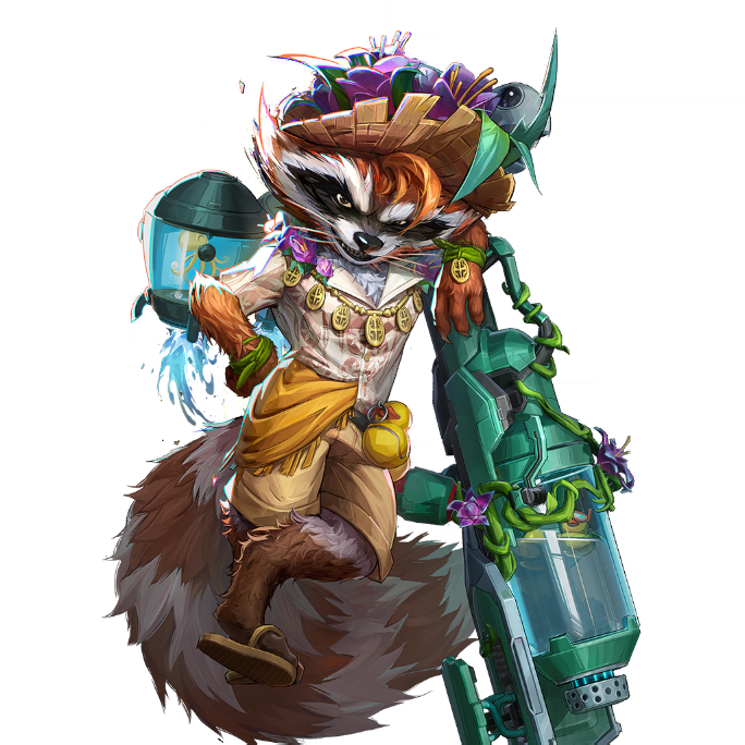 Sunshine Raccoon Costume