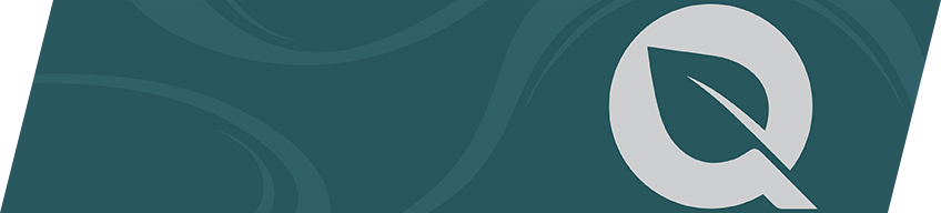 FLYQUEST (IGNITE SERIES 2026) Full HD Nameplate