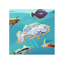AQUATIC FRIENDS