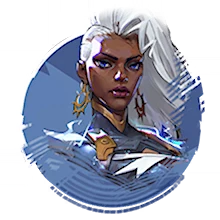STORM Spray