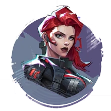 BLACK WIDOW Spray