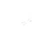 AVATAR LIFE STREAM icon