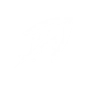 COSMIC CLUSTER icon