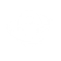 REGENERATIVE COCOON icon