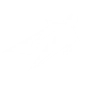SOARING SURGE icon
