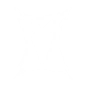 SHIELDED STANCE icon