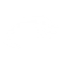 TURN OF FORTUNE icon