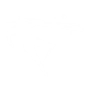 PROPULSION BURST icon