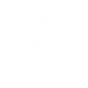 SONIC PURSUIT icon