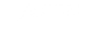 DUAL DESERT EAGLES - DUELIST icon