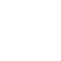 MAXIMUM FLAIR icon