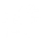 POP QUIZ! - UPGRADED icon