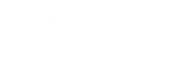 DOUBLE-BARREL BLASTER icon