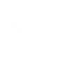 LIVING BULLET icon