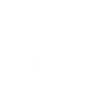 DIAMOND FORM icon