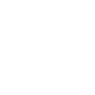 MIND'S AEGIS icon