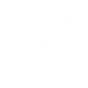 BAYOU BASH icon