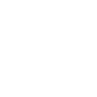 NECRO-POWER icon