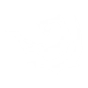 FURIOUS FLORA icon