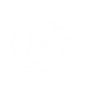 SPORE BOMB icon