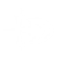 GAMMA BURST icon