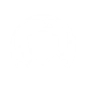 INDESTRUCTIBLE GUARD icon