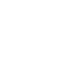DAZZLING DETONATION icon