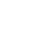 FIREWORK FINALE icon