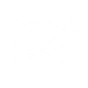 SPARKING SPRINT icon