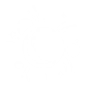 SPARKLE MARK icon