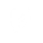 STEPPING DISCS icon
