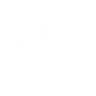 FLYING ACE icon