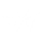 SOUTHERN BRAWL icon
