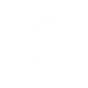 DEMON OF THE END icon
