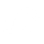 BATTLE BLITZ icon