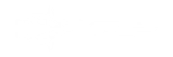 ENCEPHALO-RAY icon