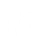 FOX FORM AWAKENING icon