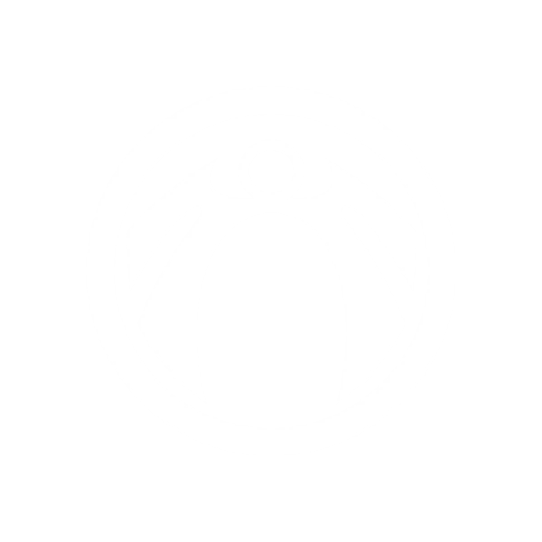 Storm logo